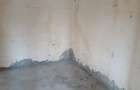 Dascalu, casa veche 4 camere, acoperis nou, teren 1300 mp, deschidere 39 m - 9