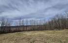 Teren Construcții de 18000 mp, în Urleta - 2