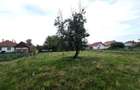 Vind Casa la Arpasu de jos - 4