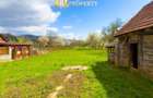 Colț de natură: casă + teren mare în Săvârșin - 7