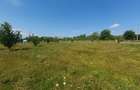 Casă individuală cu 5 camere cu Teren 3000 Mp în Cotnari - 32