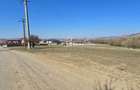 Teren 4 362 Mp Intravilan de Vanzare, Str Caprioarei, Sangeorgiu de Ms - 9