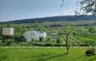 Vand teren 0,75 ha in Bazna cu doua case, o casuta, anexe... Ideal pentru camping, Airbnb, pensiune - 8