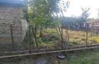 Casă individuală cu 3 camere cu Teren 2913 Mp în Măhăceni - 5 Casă individuală cu 3 camere cu Teren 2913 Mp în Măhăceni - 5