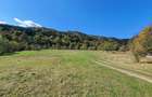 Teren agricol de 9000 mp, în Babarunca - 3