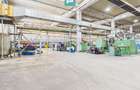 Spațiu industrial, de 4,184 mp, în Șagului - 3