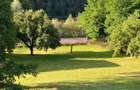Teren intravilan Bran - 5