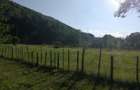 Vand casa ?i teren 2500 mp la munte in Valea Uzului. - 2
