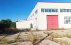 OCAZIE Complex industrial 4 hale productie + depozitare, 17.000 mp, des 180mp - 9