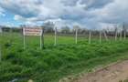 Teren Giurgiu Nord Str Amforei - 2