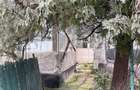Casă cu 3 camere în Săhăteni - 13