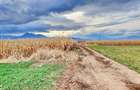 Teren agricol extravilan de 8400 mp, în Tărlungeni - 6