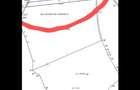 Teren extravilan de 3200 mp, în Viforâta - 2