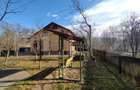 Casa individuala 4 camere plus casa de oaspeti, Drajna - 13