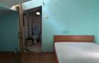 Apartament cu 4 camere decomandat în Gara de Nord - 9