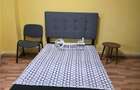 Apartament 2 camere, decomandat, mobilat și utilat complet – Nicolina 1, 55 - 10