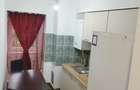 Apartament 1 camera de vanzare zona Big Bistrita - 7