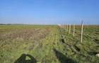 Vand teren intravilan 5000 m.p. costinesti - 1