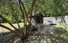Casa de Vacan?a, 8 Camere in Bazna | Turism Balnear - 2