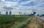 Teren intravilan de 8333 mp, în Secu - 5
