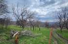 Teren 4.400 mp Comarnic | lini?te, priveli?te ?i intimitate! [ 18 NEGOCIABIL ] - 5