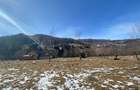 Vand teren zona Rucar, sat Satic, jud. Arges - 6