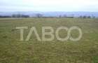 Teren intravilan de 3000 mp, în Paltin - 2
