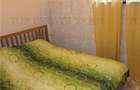 Apartament cu 2 camere semidecomandat în Armeneasca - 5