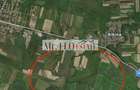 Teren Construcții intravilan de 1500 mp, în Moșnița Nouă - 3