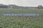 Teren de 500 mp, în Balotești - 10