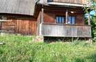 Teren agricol cu casa de lemn - 3