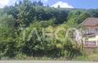Teren extravilan de 2500 mp, în Rășinari - 7