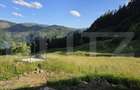 Teren intravilan, de vanzare, 20 ari, zona Colibita - 2