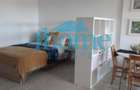 Studio|Drumul Taberei|Metrou|Bloc Nou|Centrala Proprie - 12