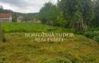 COMISION 0% | 3 constructii | Teren 2.100mp | Simisna, Salaj - 6