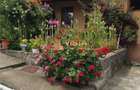 Casa extraordinara cu 2300mp teren in Bod, Brasov - 12