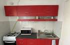 Apartament de inchiriat 2 camere zona Garii - 4