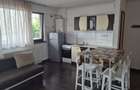 Studio / garsoniera Ghimbav Brasov - 6
