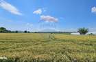 Teren 15,000mp Salcea-Prelipca, Suceava