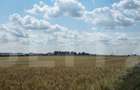 Teren intravilan de 2829 mp, în Central - 3