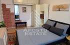 Garsoniera Pet friendly, zona Buziasului - 5