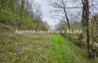 Teren intravilan 1.700 mp + 6.600 mp Padure de foioase + 1.200 mp Padure de foioase, Sat Nojag. - 2