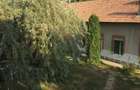 FERMA DE VANZARE!! 49ha, Olt, Bals - 20