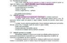 Remetea Mare - teren locuinte colective si servicii - toate utilitatil - 2