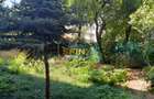Apartament cu 4 camere semidecomandat în Pache Protopopescu - 12