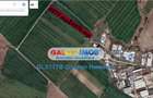 Teren intravilan industrial 4976 mp Chitila Str Oxigenului - 2