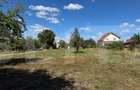 Casa veche cu teren generos in vatra veche ?ag - 2
