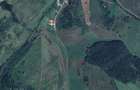 Teren de vanzare 2900 mp, Mera Noua (zona Cluj) - Elado telek 2900 m, Mera Noua - 3