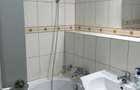 Apartament Via Romana - de vanzare - 3