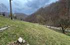 Teren intravilan 1.28ha Remetiperfect pensiune/cabane, zona turistica - 2